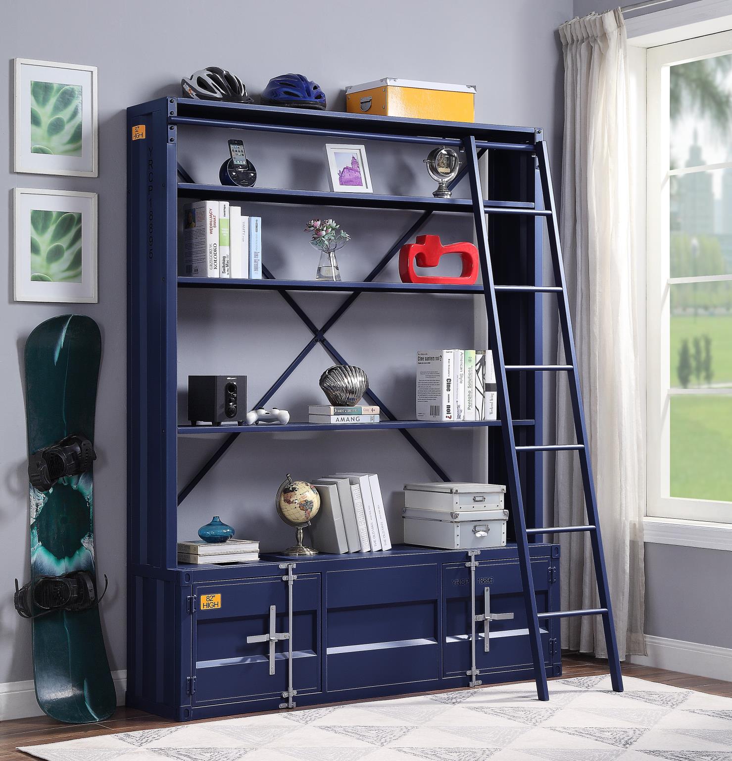 Blue Bookshelf w/ Ladder